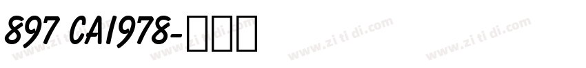 897 CAI978字体转换